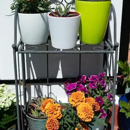 Duplex Con Terraza